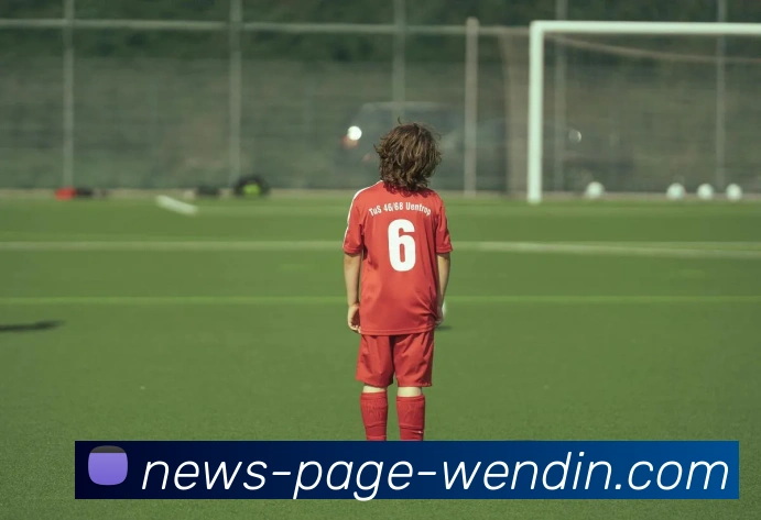 App Interface Preview